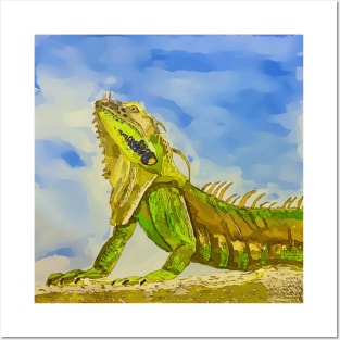 Key West Florida Iguana - WelshDesigns Posters and Art